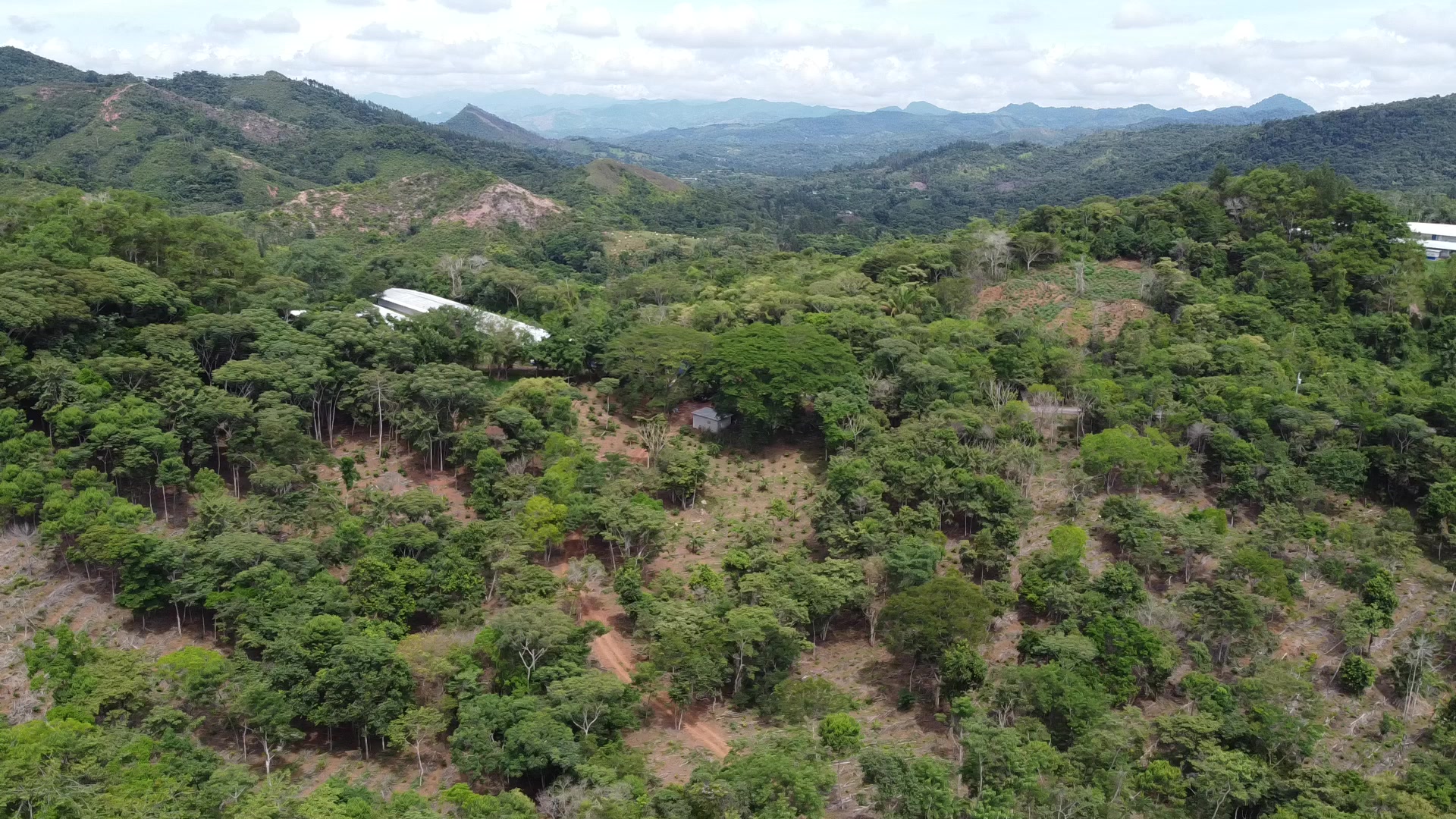 Coffee farm landscape in Coclé, Panama