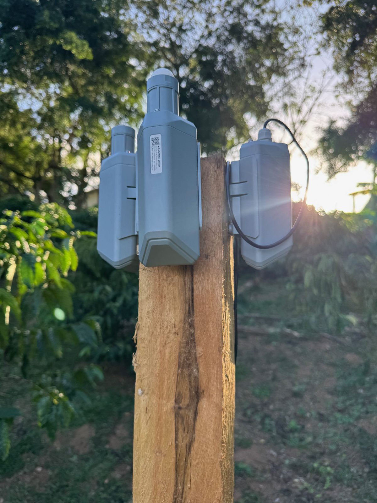 LoRaWAN sensor pole at sunset, Toabré